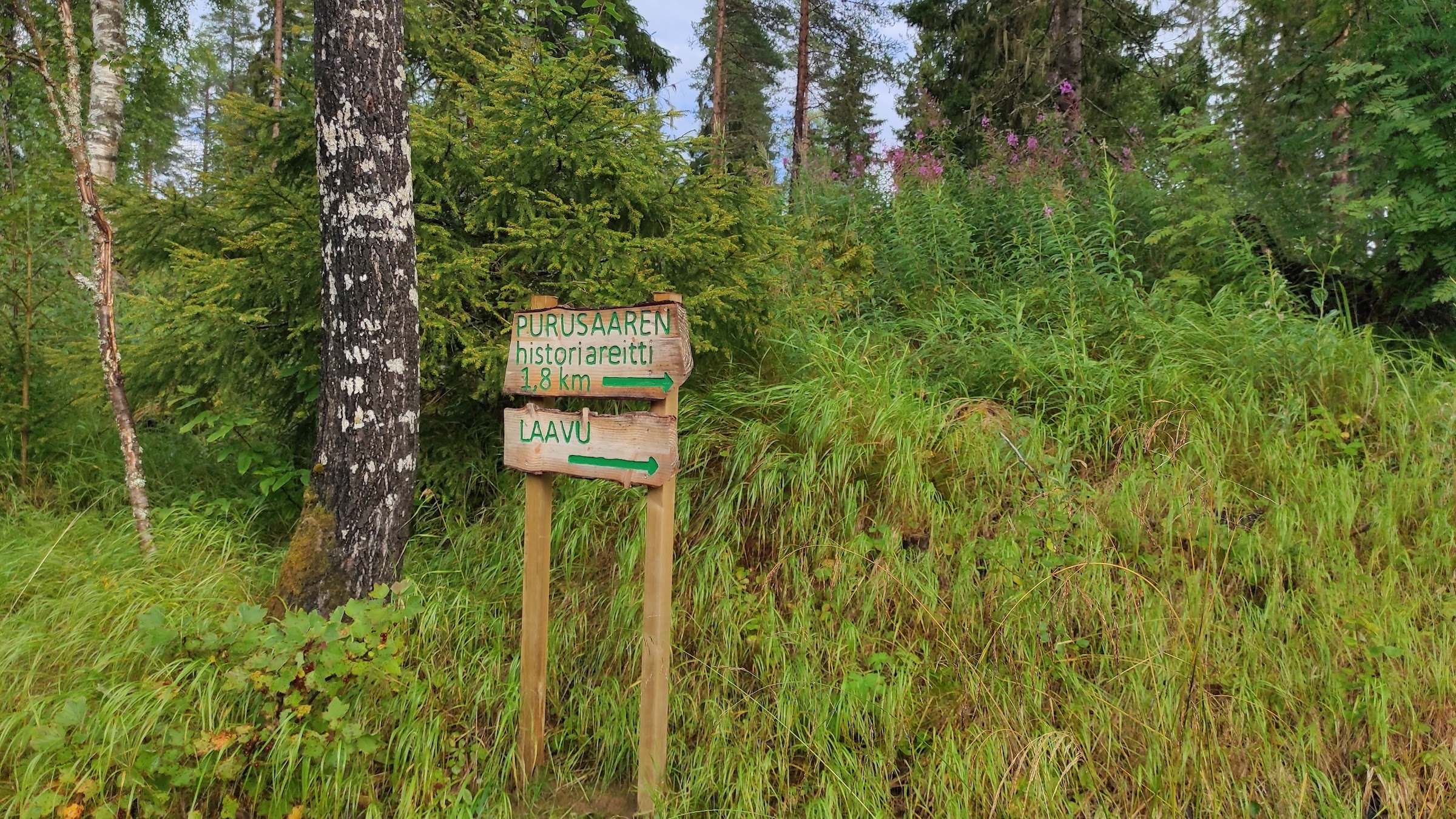 Purusaari Outdoor Recreation Area
